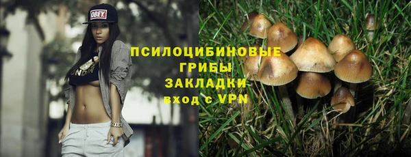 мяу мяу мука Баксан