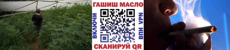 закладки  Армавир  ТГК гашишное масло 