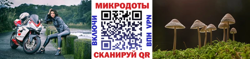 Галлюциногенные грибы мицелий Армавир