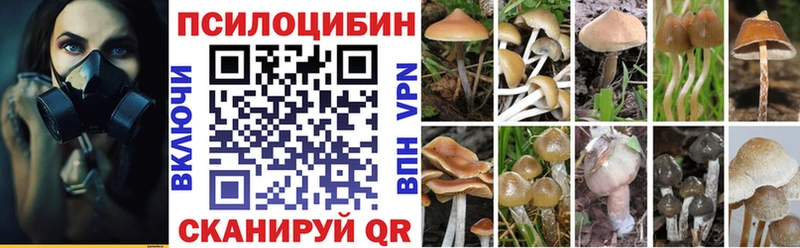 мориарти клад ОМГ ОМГ ТОР Армавир Галлюциногенные грибы Psilocybine cubensis