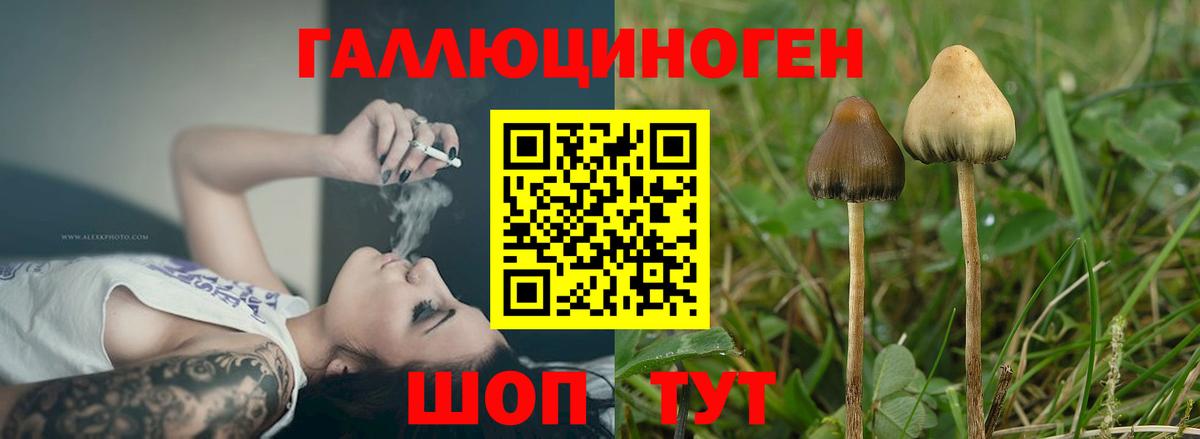 Псилоцибиновые грибы MAGIC MUSHROOMS  Вход с VPN  Армавир  Галлюциногенные грибы MAGIC MUSHROOMS 